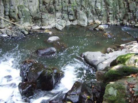 3wjyarope7a8wxo6v5r4_480_480-3cf268b0.jpg
