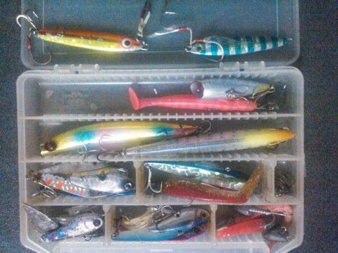 3wxscv9kotup5onwox5c_480_480-f302881f.jpg