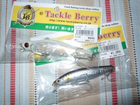 3xm7pp8dbsa2gdn3wao8_480_480-fcb95fcf.jpg