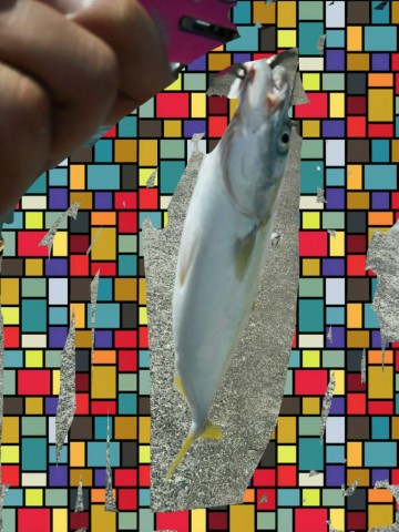 3xndkcc32k9zygwt2rdw_480_480-64b132b6.jpg