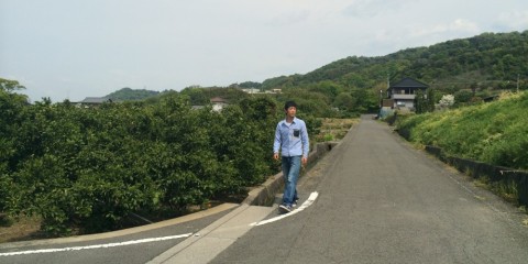 3xrstfvfga7vtcnt38xt_480_480-2b640fac.jpg