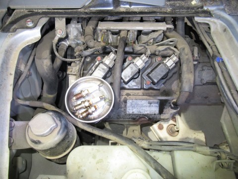 3xxr8cxr8bw6jfwyxmjx_480_480-2c67cc4c.jpg