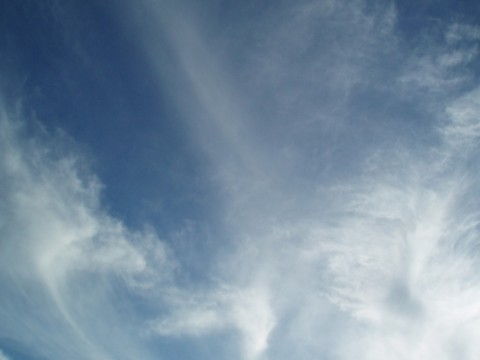 3xzpmmj5cr3w4346h8ai_480_480-5b00a319.jpg