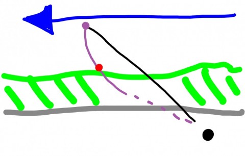 3yn97dcouxuzecrh29zu_480_480-4f294423.jpg