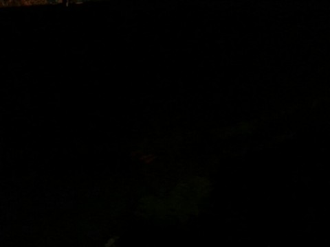 3yunypv36xz9fj8ifn5g_920_690-725d5979.jpg
