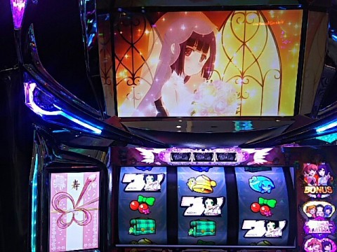3yuz6wo6ihg8h574b3ks_640_480-305b5b37.jpg