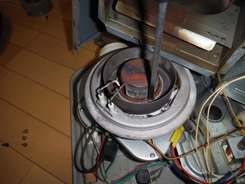 3z4we8u7bwdwjxr8eawt_480_480-10104e57.jpg