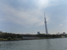 3zpazzktou48w8asj3ep-746091be.jpg