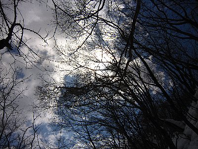 3zpuc8tnkeozxgkxitcc-653bb123.jpg