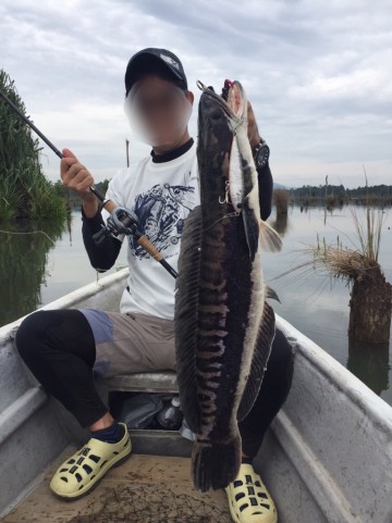 3zrcm8owayfdm3c4kytc_480_480-0dfd34ae.jpg
