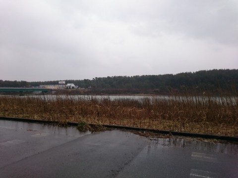 3zvunvcdhvhypfwy26fj_480_480-b6763df5.jpg