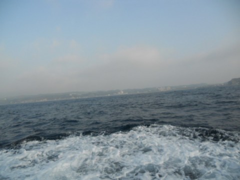 426nk7d9paufsn7j3zts_480_480-e09ca1e9.jpg