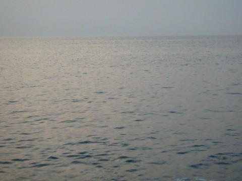 427ez29pr8urmj32hyu4_480_480-674566fc.jpg