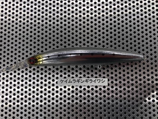 DAIWA SWチーム】 【新製品】セットアッパー125SDR青物SP2020
