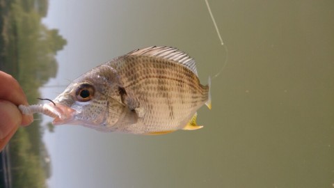 43fhrpxkt5v5tfwgrfuz_920_517-7229fd8e.jpg