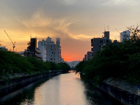 43jp5ddpgr87oek3w7n9-91cef3a2.jpg