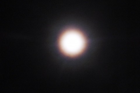 43khpb27msbaui4atjb5_480_480-58e6c25b.jpg