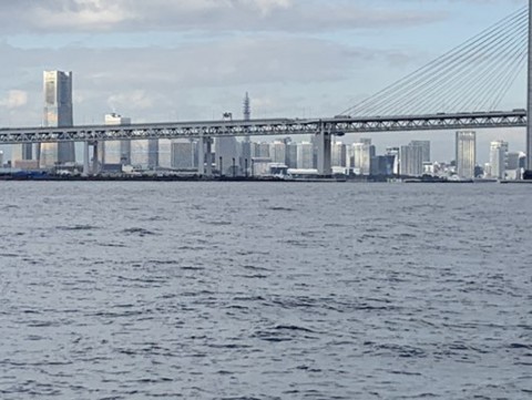 43tsy46hg5cs77owevwd_480_361-70698441.jpg