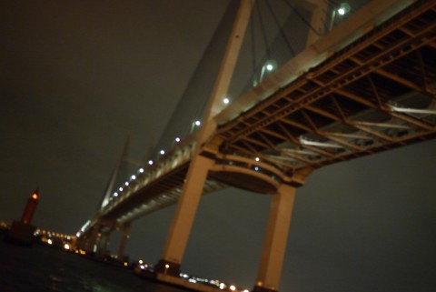 443jtcrds5iurzhb8cjp_480_480-336eb565.jpg