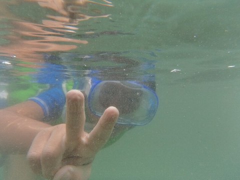 44epgkkja8nh2ggskr3i_480_480-875b3e84.jpg