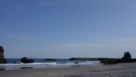 44p454kf3we8ngkhkfu5_480_480-65d57a77.jpg