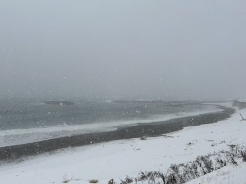 457owbkbhtpdxdw8wmfe_480_360-988344f9.jpg