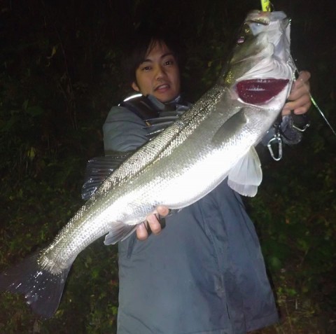 459rui2ykatdskynfzac_480_480-d7f7a1a9.jpg