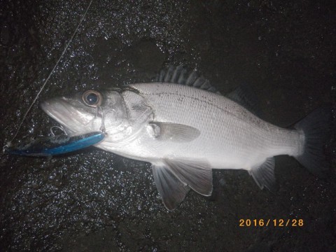 45gbp3brpuw7bz4xk67x_480_480-b6c98288.jpg
