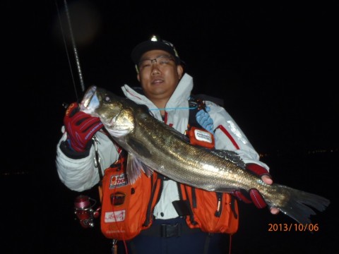 45hkey66jgt95po4tgdo_480_480-afe8eaa8.jpg
