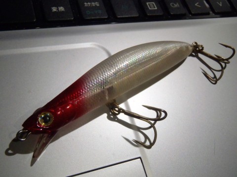 45m9i32yz4smvonpdbj8_480_480-186fb9d8.jpg