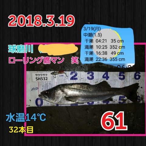 45p7ji68wyuahbp2pmai_480_480-fb4e3ab4.jpg