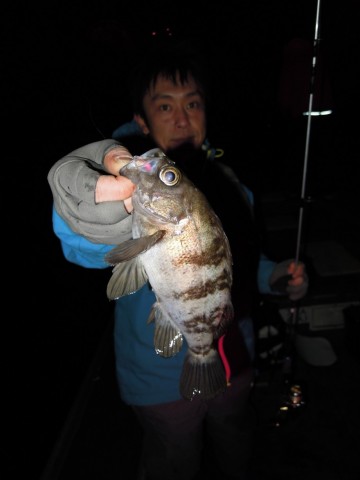 45rnpemgmt7xfmwjx8hz_480_480-b66ab931.jpg