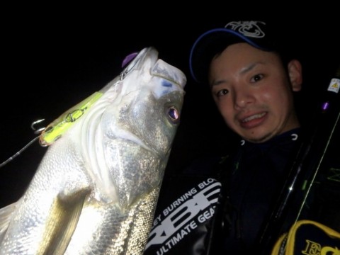 45y2f3dh95ybtipuh4sf_480_480-c83b78b6.jpg