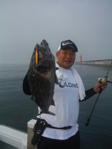 45y6x7shnywtammf2soa_690_920-b8713d10.jpg
