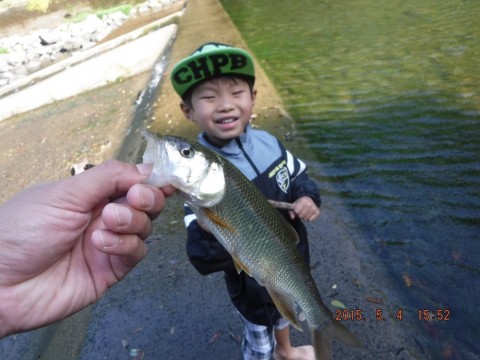 465hi5tkkywmgvd7vgf3_920_690-c4587f67.jpg