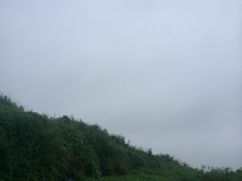 46msfrwio22gj2meyeu2_480_480-20e65420.jpg