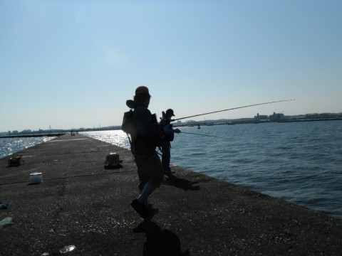 474r22z3jax6d4n7wn68_480_480-22a96d8e.jpg