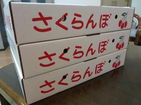 47egu26o6odwn2uszu6b_480_480-11a775e9.jpg