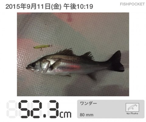 47gw9j7rwvrsbftbwdjs_920_771-e5d96be3.jpg