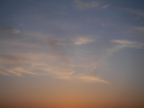 47j8ej9go8tadbtzaydm_480_480-26878756.jpg