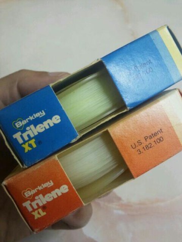 47rp6p4ek7oga5ddkuip_480_640-083e984f.jpg