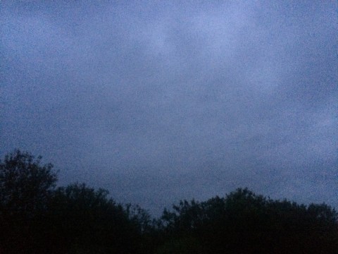 483obyh8yn7fj628nkzf_480_480-309ac904.jpg