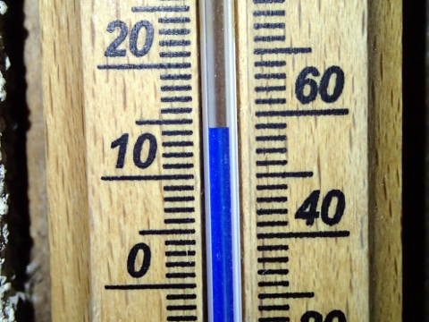 487gkwka7g247scsct8g-1d741ccb.jpg
