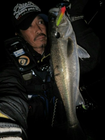 48ft5toaviychusggefs_690_920-e464f4ae.jpg