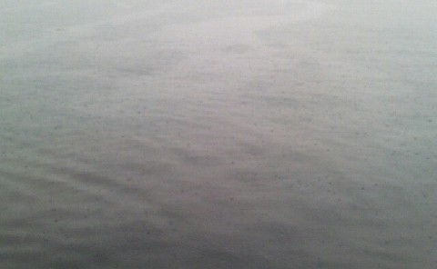 48snbmifvupzte6bsrtc_640_394-26dd13b3.jpg