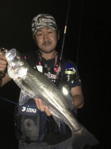 48t59ygb2ayuke9kmh6f_690_920-b57fb931.jpg