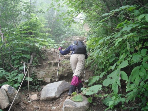 48vsmxdejzsnuaao86p8_480_480-29794c57.jpg