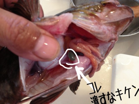 48vxn577o88nm434i65i_920_690-6f10d8af.jpg