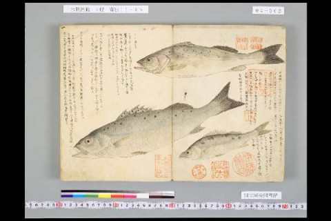 497yi2489s37gkyu9o97_480_480-3ead6b28.jpg