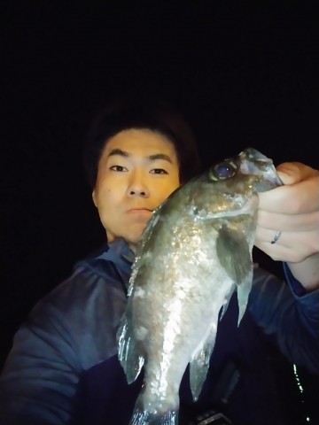49hid8umjibcom4x44yr_480_480-2bc5d769.jpg